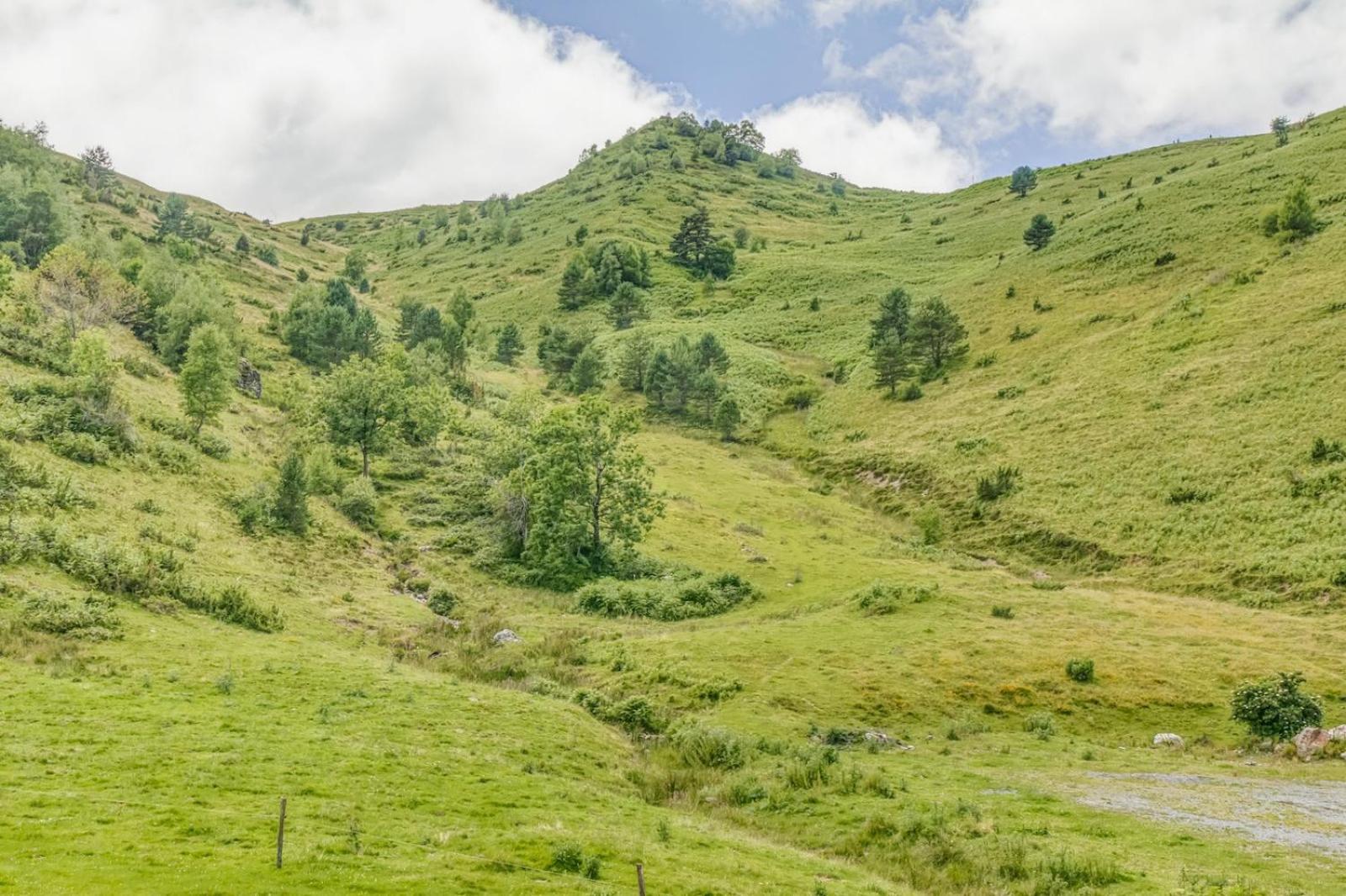 Appartement Alpin A 200M Des Pistes Genos Экстерьер фото